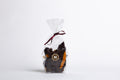70.5% Dark Chocolate Bark with Candied Orange Peel
