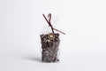 70.5% Dark Chocolate Bark with Raw, Unsalted Pecan